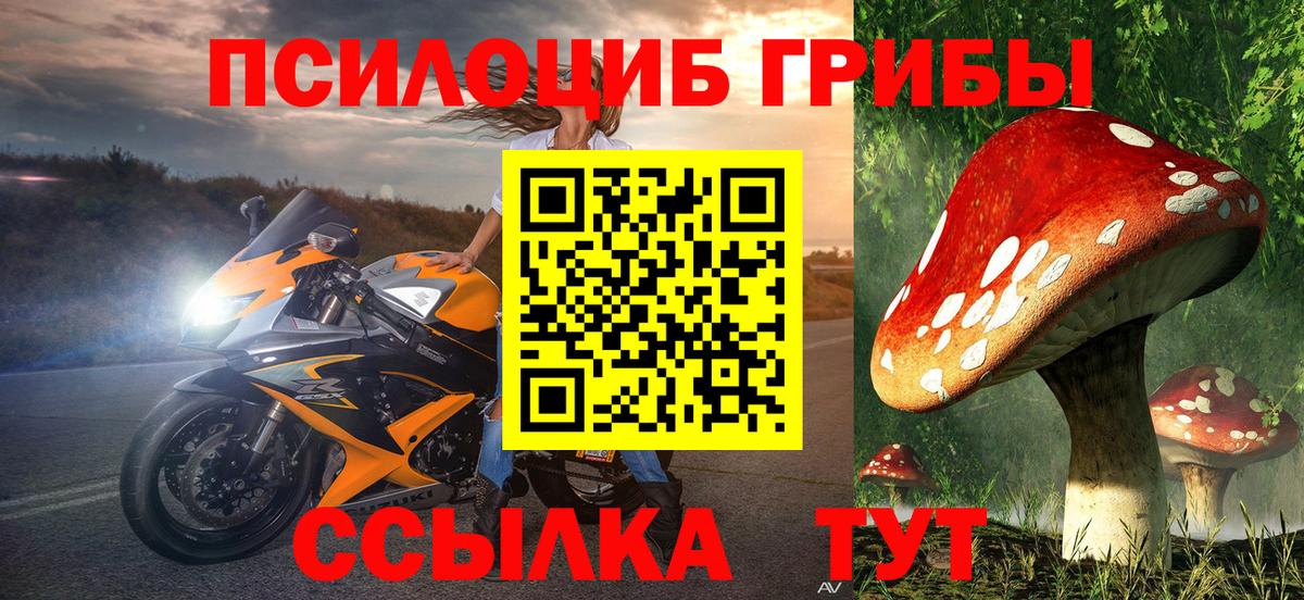 купить наркотик  Псилоцибиновые грибы Cubensis  Вход с VPN  Шуя  Галлюциногенные грибы Magic Shrooms 